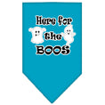 Load image into Gallery viewer, Halloween Pet and Dog Bandana Screen Printed, "Here For The Boos"
