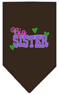 Load image into Gallery viewer, Pet and Dog Bandana Screen Printed, "Big Sister"
