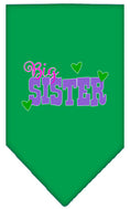 Load image into Gallery viewer, Pet and Dog Bandana Screen Printed, "Big Sister"
