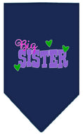 Load image into Gallery viewer, Pet and Dog Bandana Screen Printed, "Big Sister"
