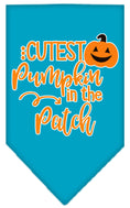 Load image into Gallery viewer, Halloween Pet and Dog Bandana Screen Printed, "Cutest Pumpkin In The Patch"
