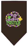Load image into Gallery viewer, Pet and Dog Bandana Screen Printed, "Throw Me Something Mister"
