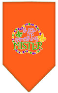 Load image into Gallery viewer, Pet and Dog Bandana Screen Printed, "Throw Me Something Mister"
