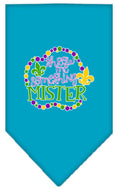 Load image into Gallery viewer, Pet and Dog Bandana Screen Printed, "Throw Me Something Mister"
