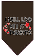 Load image into Gallery viewer, Pet and Dog Bandana Screen Printed, "I Still Live With My Parents"
