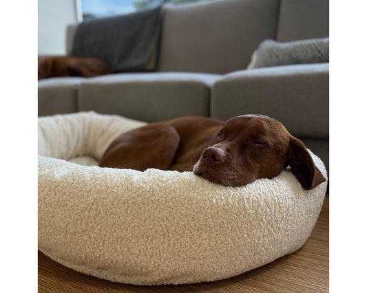Donut Bed Ivory Sheepskin