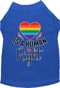 Load image into Gallery viewer, Pride Cat or Dog Shirt for Pets "Love is a Human Right"

