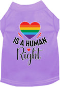 Load image into Gallery viewer, Pride Cat or Dog Shirt for Pets "Love is a Human Right"
