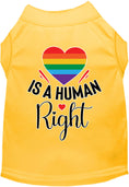 Load image into Gallery viewer, Pride Cat or Dog Shirt for Pets "Love is a Human Right"
