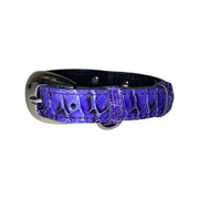 XS/S 7-14  Iridescent Purple/Silver Custom Snake Collar/Custom Silver Oval Italian Hardware