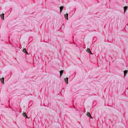 The Flock of Flamingos Dog Harness