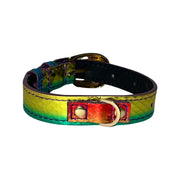 XS/S 7”-14”  Yellow/Green/Red Custom Snake Collar/Custom Gold Italian Hardware
