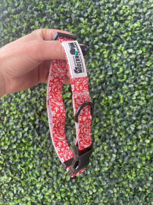 Red bandana-style collar with paisley pattern, featuring a black buckle and tag from The Modern Dog Company.