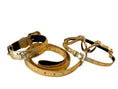 Load image into Gallery viewer, Glam Gold Embossed Studded Italian Leather Collar, Leash & Harness Set With Our Custom Swarovski Crystal Buckle
