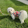 Load image into Gallery viewer, Floral Burst Leash

