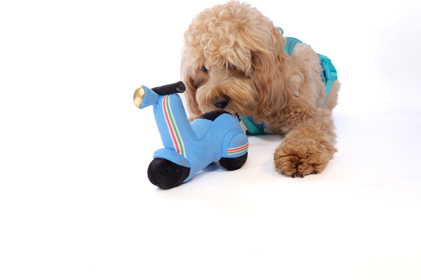 Scooter Pet Plush Toy - Southlake Paws