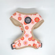 Flower Power Harness 