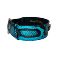 Load image into Gallery viewer, Electric/Turquoise Blue & Black Snake Classic Collar With Gold Classic Hardware
