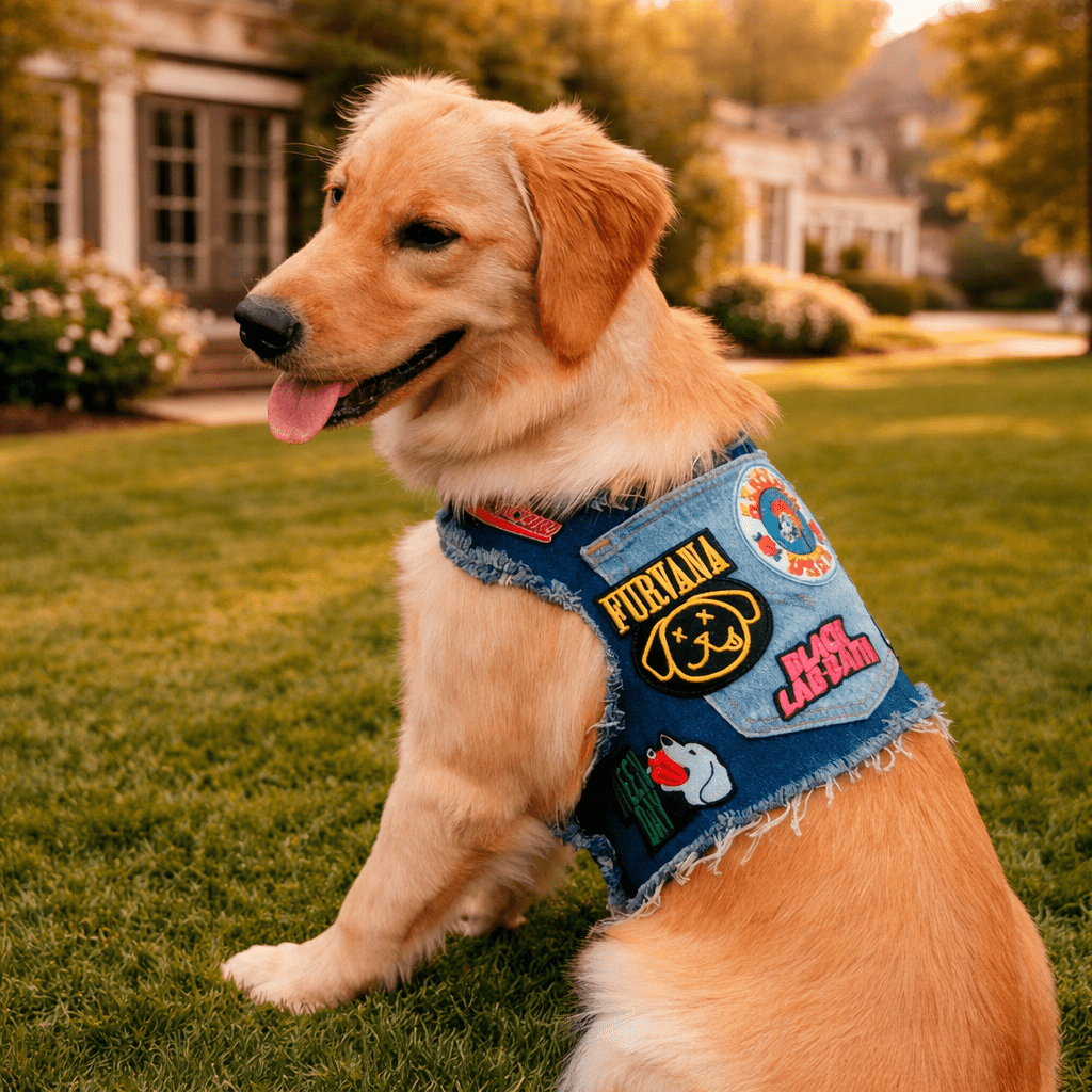 Ruff & Roll Denim Dog Harness- 13 oz. Double Denim/ American Heritage Craft