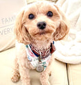 Load image into Gallery viewer, BOW TIE - BELLA ROSE
