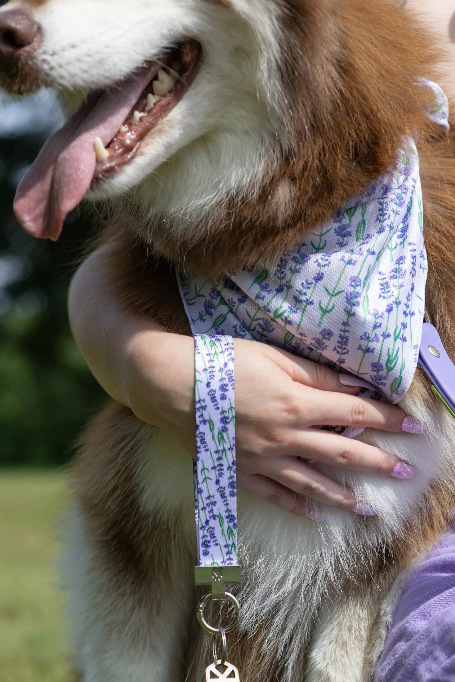 Lavender Blooms Dog Bandana & Matching Keychain - Southlake Paws