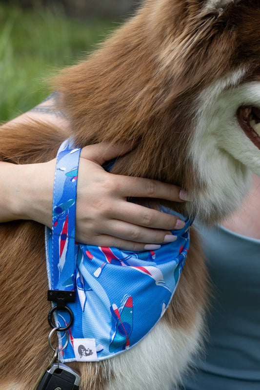 K9 Kayak Dog Bandana & Matching Keychain - Southlake Paws