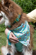 Load image into Gallery viewer, Seaside Sips Dog Bandana & Matching Keychain - Southlake Paws
