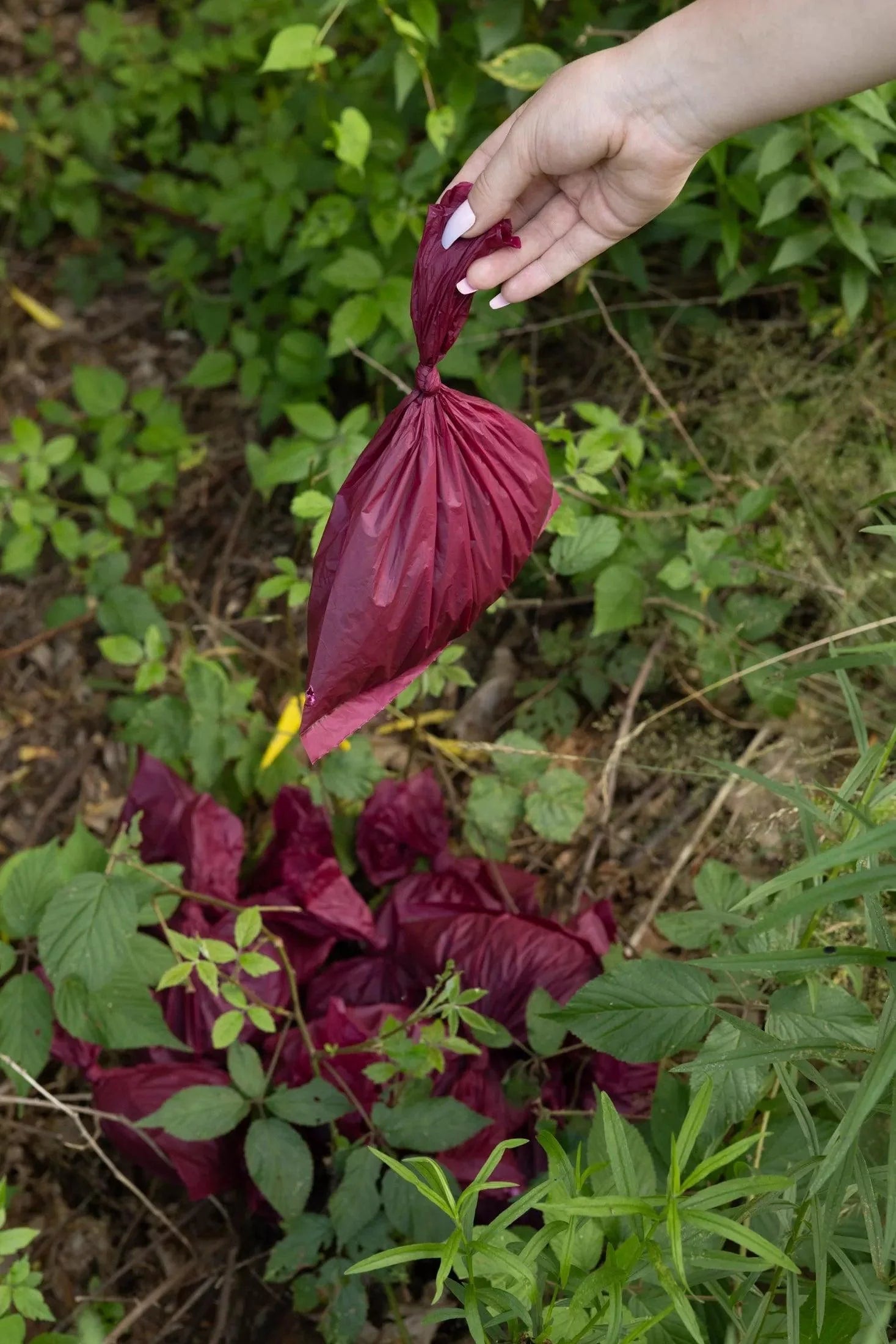 Plant Based Compostable Waste Bags - Southlake Paws