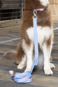 Load image into Gallery viewer, Blue Sky Orchid Waterproof Leash - Southlake Paws
