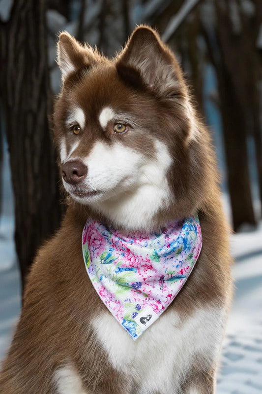 Hydrangea Haven Dog Bandana - Southlake Paws