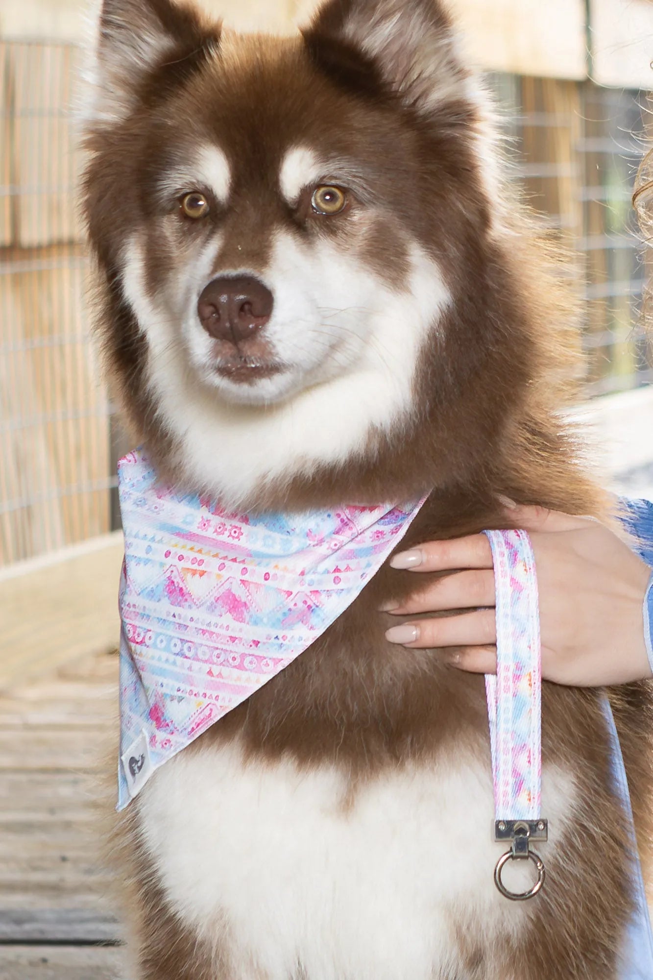 Pink and Blue Tribal Dog Bandana & Matching Keychain - Southlake Paws