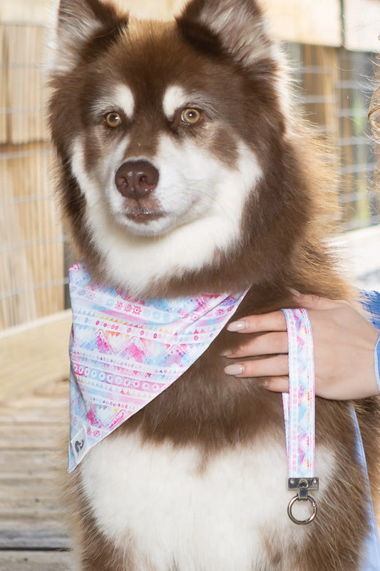 Pink and Blue Tribal Dog Bandana & Matching Keychain - Southlake Paws