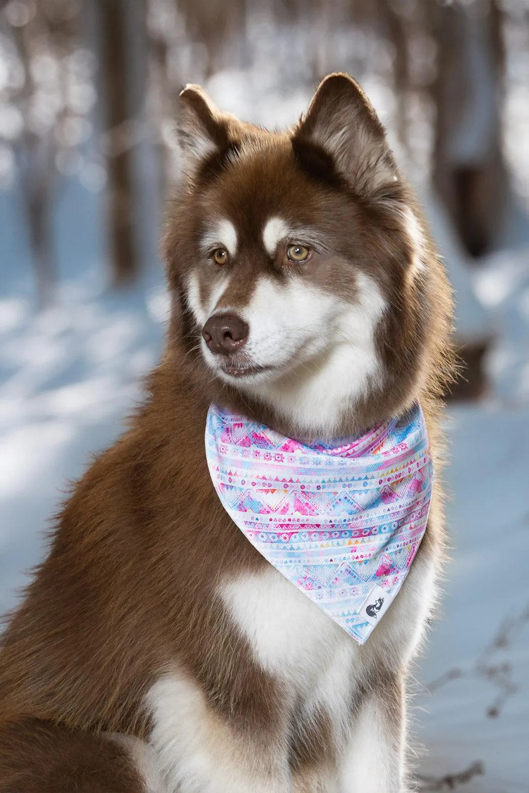 Pink and Blue Tribal Dog Bandana - Southlake Paws
