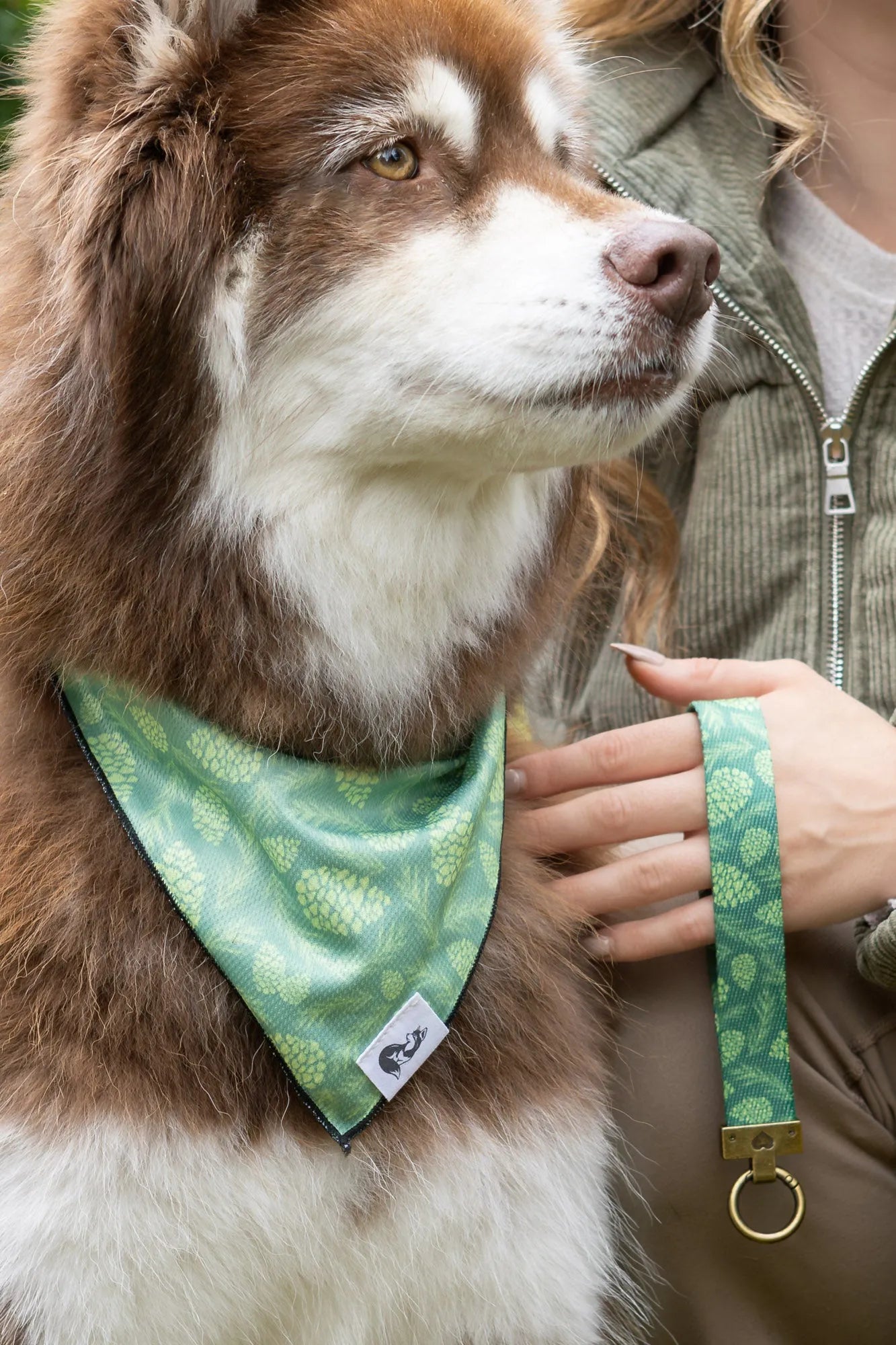 Pine Cone Pup Bandana & Matching Keychain - Southlake Paws