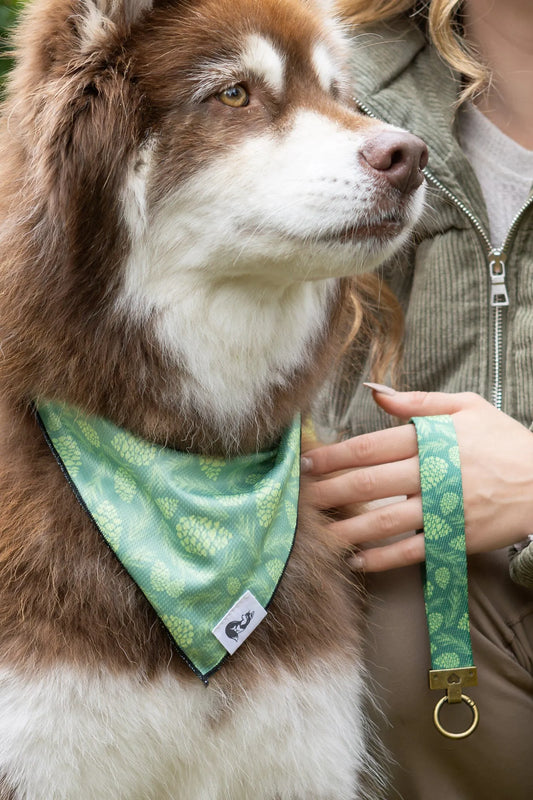 Pine Cone Pup Bandana & Matching Keychain - Southlake Paws