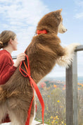 Load image into Gallery viewer, Scarlet Peaks Waterproof Leash - Southlake Paws
