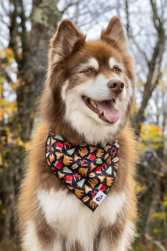 Woodland Tales Dog Bandana - Southlake Paws