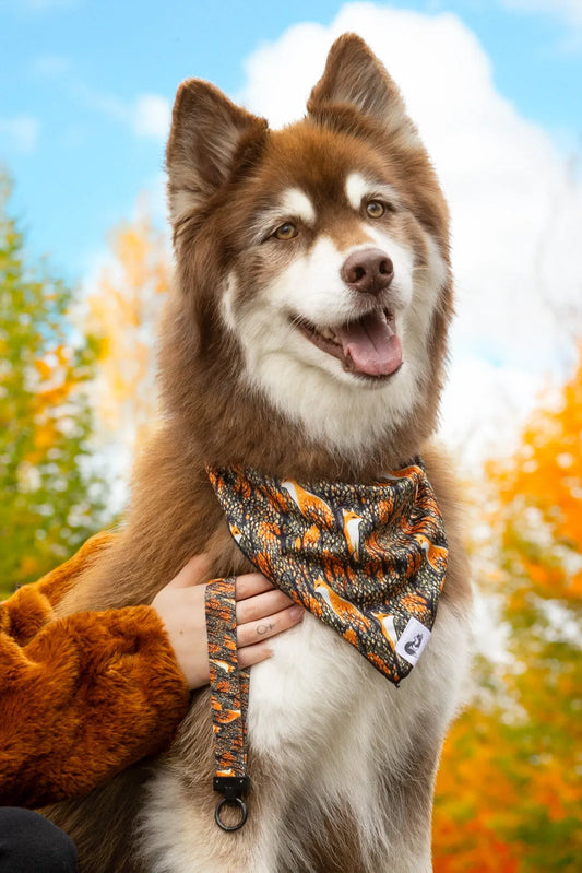 Foxes in Fall Dog Bandana & Matching Keychain - Southlake Paws