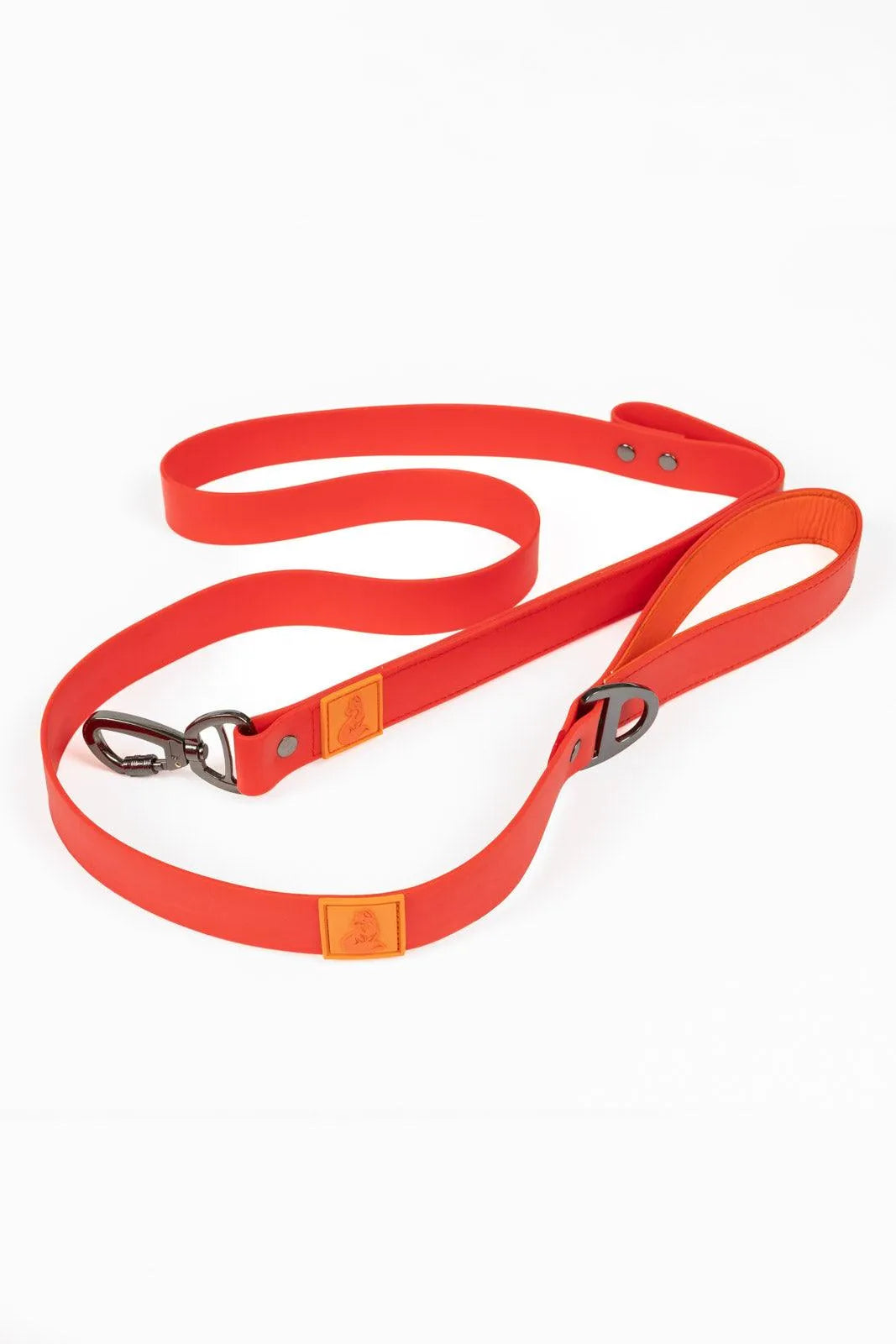 Scarlet Peaks Waterproof Leash - Southlake Paws