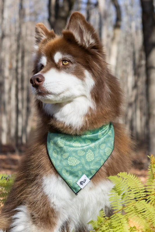 Pine Cone Pup Bandana - Southlake Paws