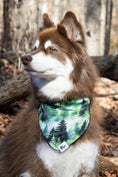 Load image into Gallery viewer, Evergreen Explorer Dog Bandana - Southlake Paws
