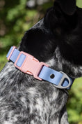 Load image into Gallery viewer, Blue Sky Orchid Waterproof Dog Collar - Southlake Paws
