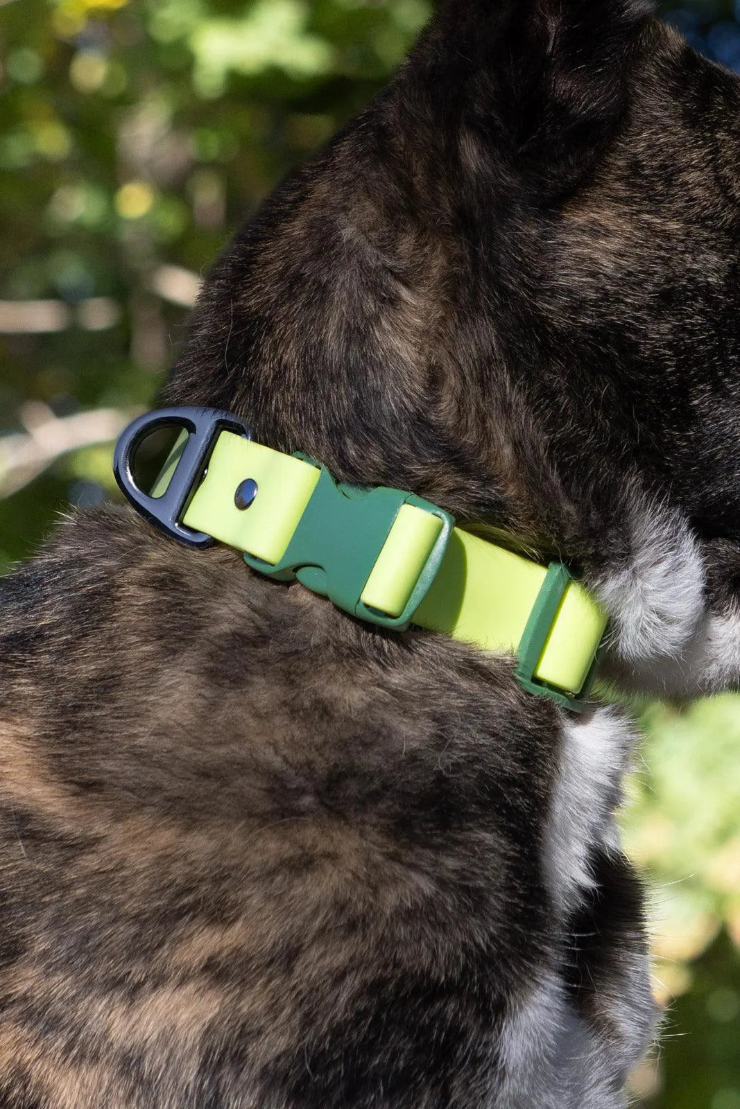 Mossy Pine Waterproof Dog Collar - Southlake Paws