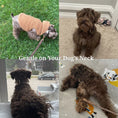 Load image into Gallery viewer, Dark Brown Velvet Set
