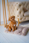 Load image into Gallery viewer, Tomas Pillow for Small Dogs - Southlake Paws
