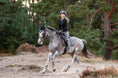 Load image into Gallery viewer, Stardust Grey Saddle Pad Set
