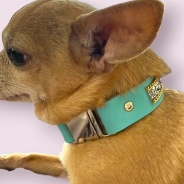 The Monte Carlo Collar in Sniffany Blue - image 6