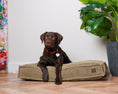 Load image into Gallery viewer, Memory Foam Dog Bed - Southlake Paws
