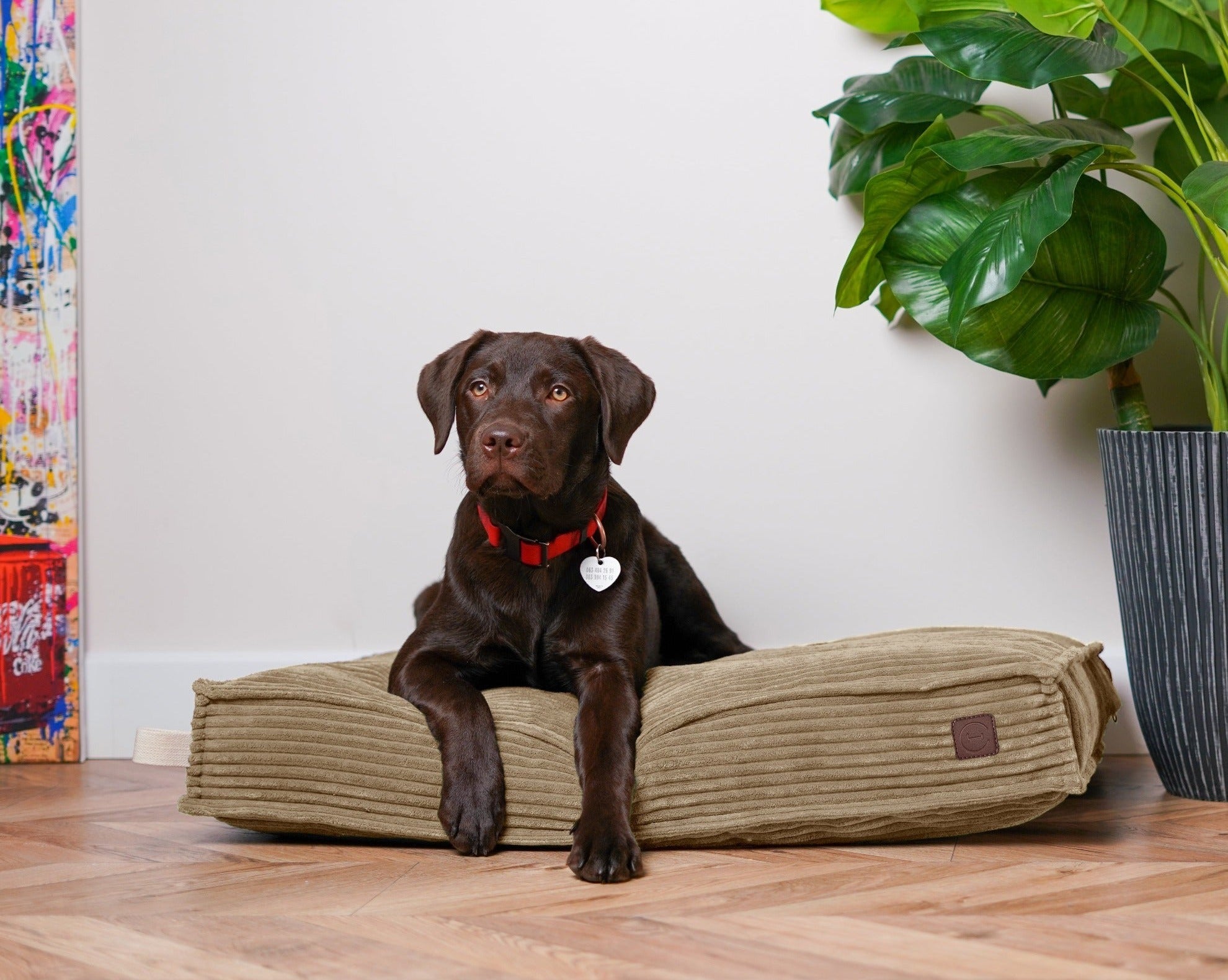 Memory Foam Dog Bed - Southlake Paws