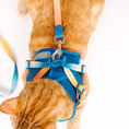 Load image into Gallery viewer, Atlas Cat Harness & Leash Set
